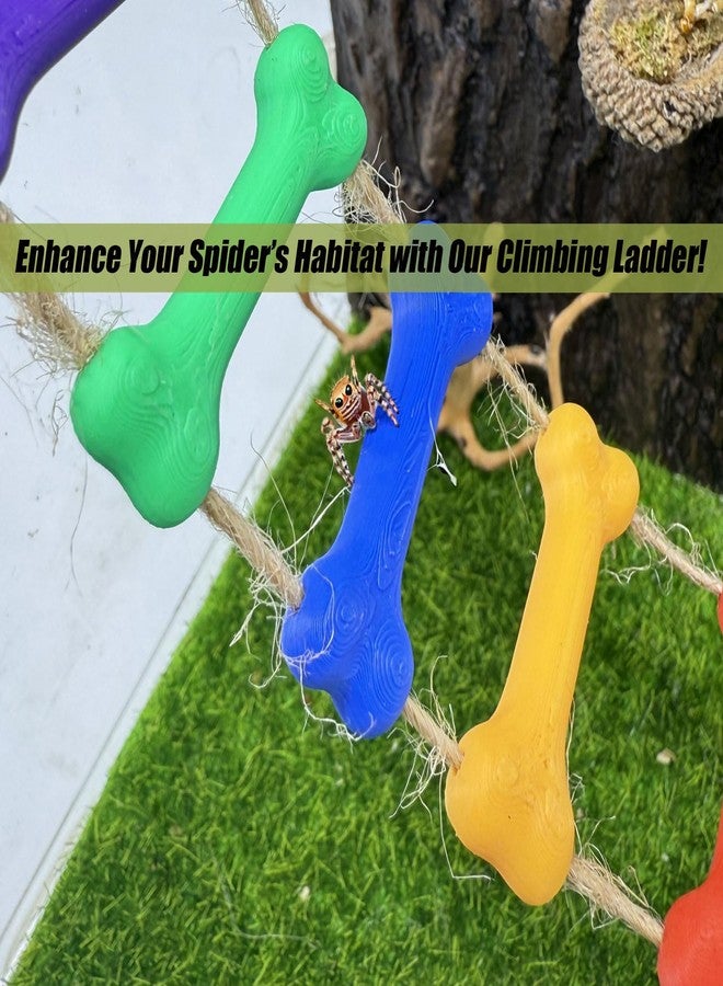 Daerky Jumping Spider Rope Bridge,Magnetic Climbing Bridge, Spider Hide Platform,Jumping Spider Enclosure Accessories,3D Printed,Magnetic Decor for Small Reptile Enclosures (Color) - Image 5